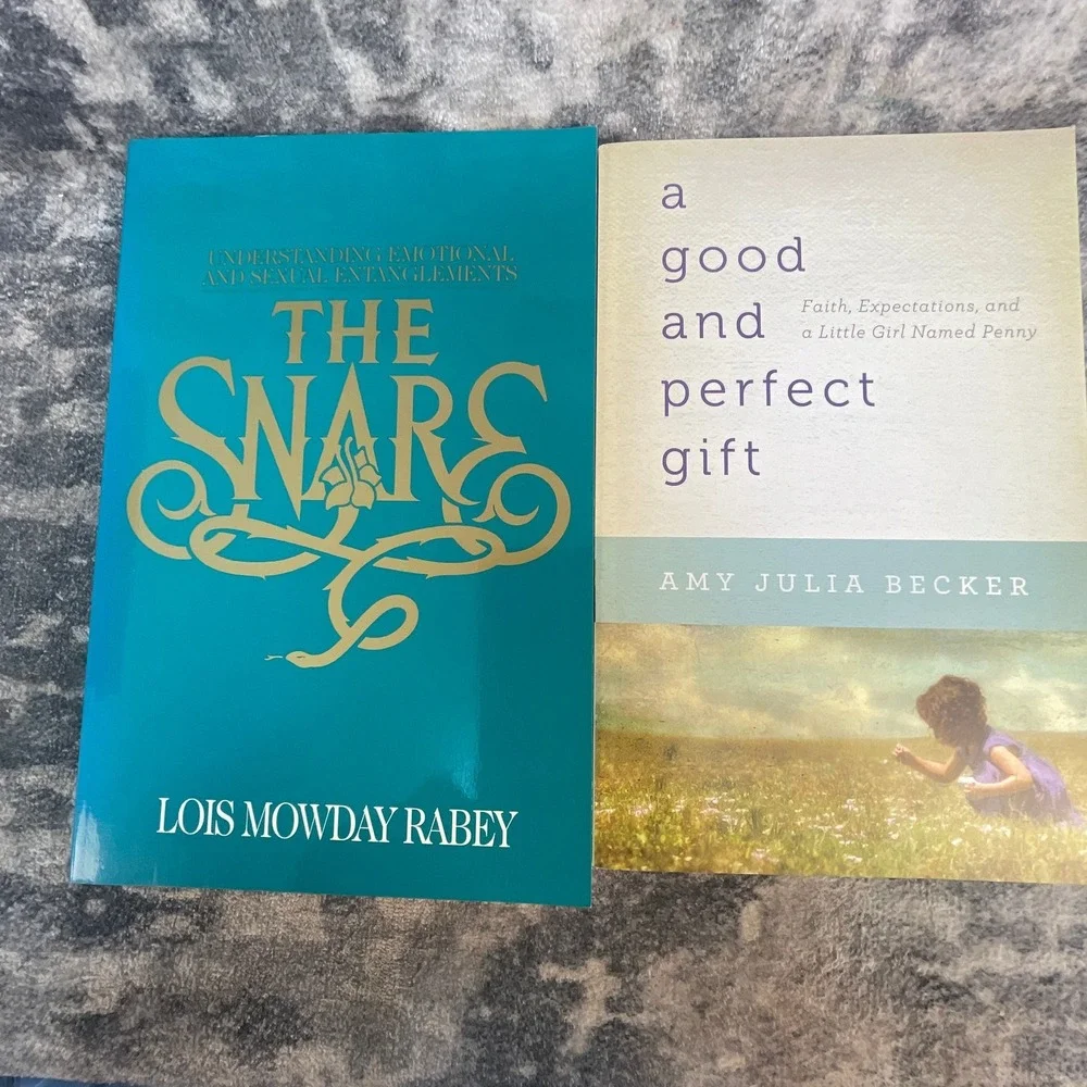 Christian Life & Relationship Book Lot Amy Julia Becker Lois Mowday Rabey 2pk
